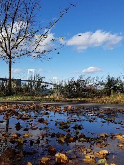 Little Bay Dog Run - Whitestone, NY