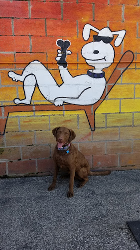 Club K9 of Wickliffe