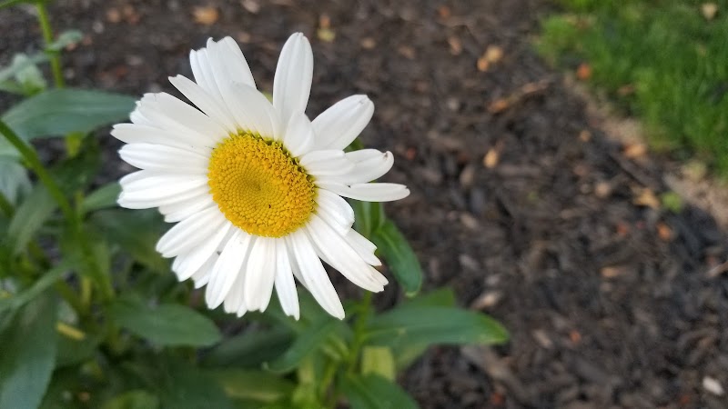 Coulby Park - Wickliffe, OH