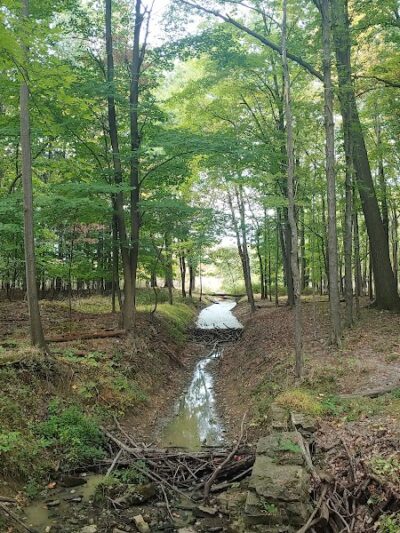 Pete's Pond Preserve - Wickliffe, OH