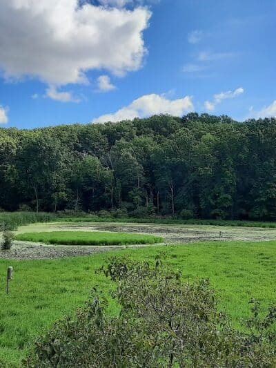 Pete's Pond Preserve - Wickliffe, OH