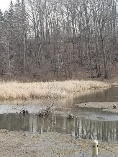 Pete's Pond Preserve - Wickliffe, OH