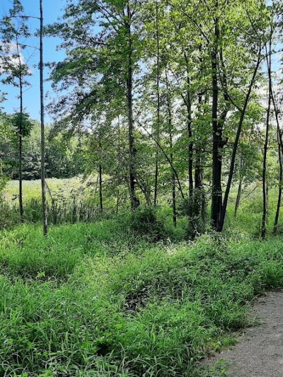 Pete's Pond Preserve - Wickliffe, OH