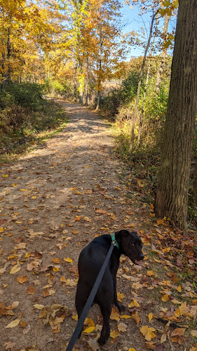 Pete's Pond Preserve