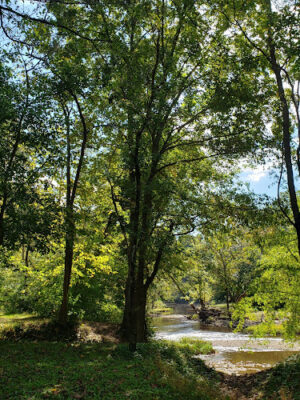 Williamsburg Community Park
