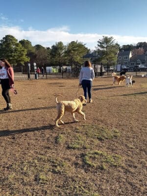 Kidsburg Dog Park