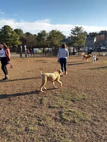 Kidsburg Dog Park