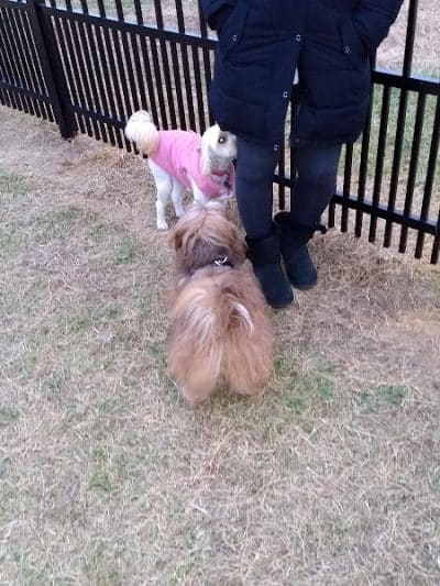 Kidsburg Dog Park - Williamsburg, VA