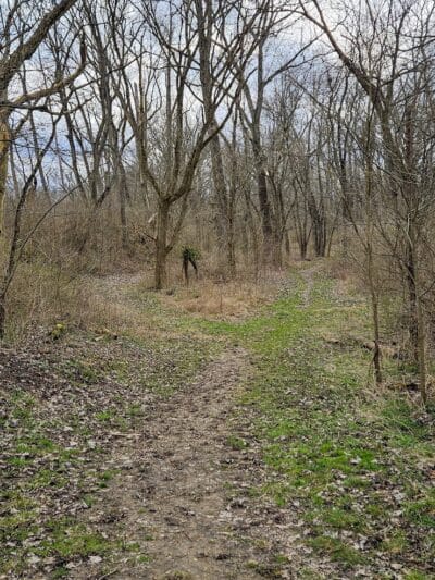 Metzger Preserve - Williamsport, OH