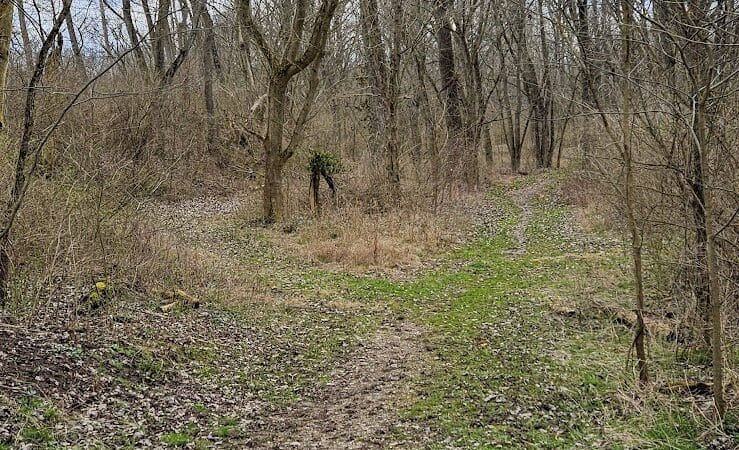 Metzger Preserve - Williamsport, OH