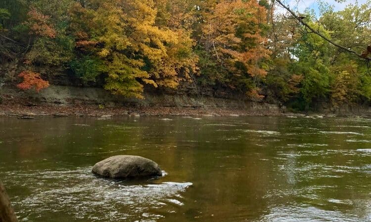 Metzger Preserve - Williamsport, OH