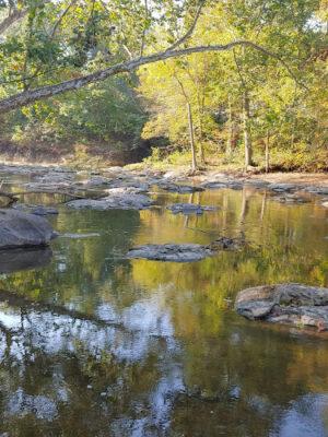 Metzger Preserve