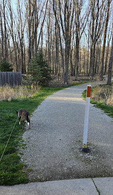 Gully Brook Park