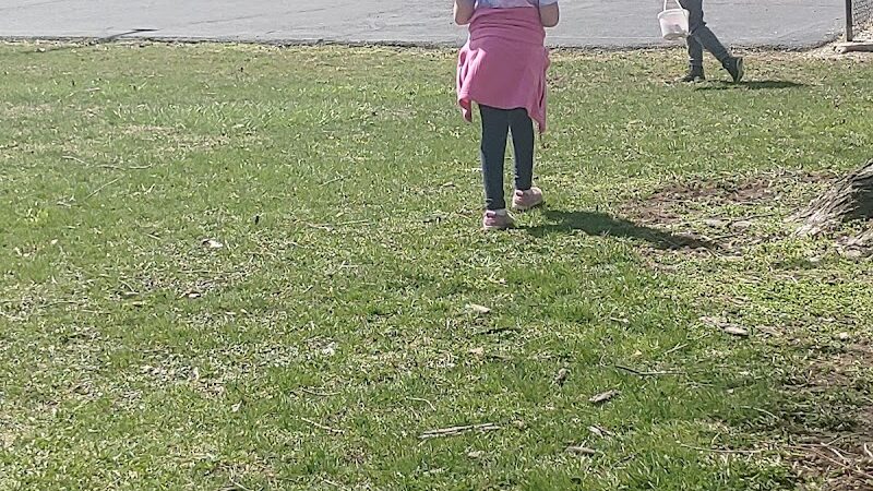 Village Park - Willshire, OH