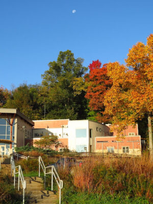 The Wilderness Center