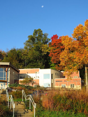 The Wilderness Center
