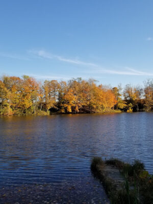 Winchester Reservoir