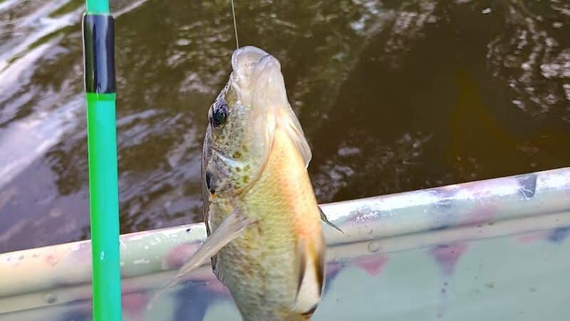 Winchester Reservoir - Winchester, OH