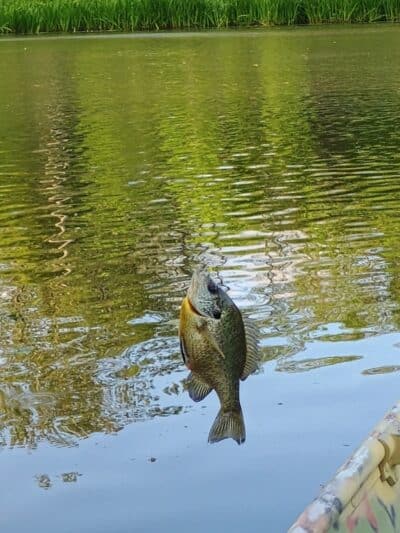 Winchester Reservoir - Winchester, OH
