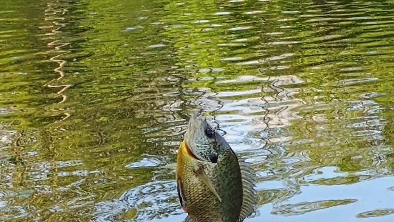 Winchester Reservoir - Winchester, OH