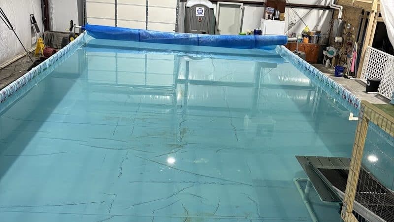 Duke's K9 Dash N' Splash - Windham, OH