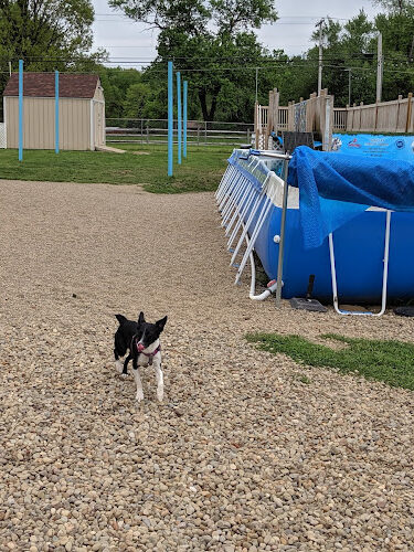Duke's K9 Dash N' Splash