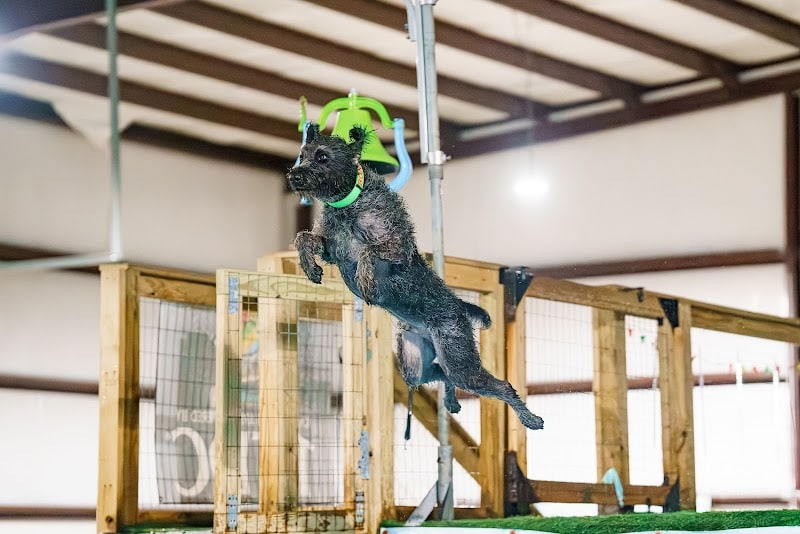 Duke's K9 Dash N' Splash - Windham, OH