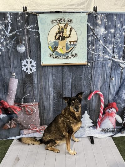 Duke's K9 Dash N' Splash - Windham, OH