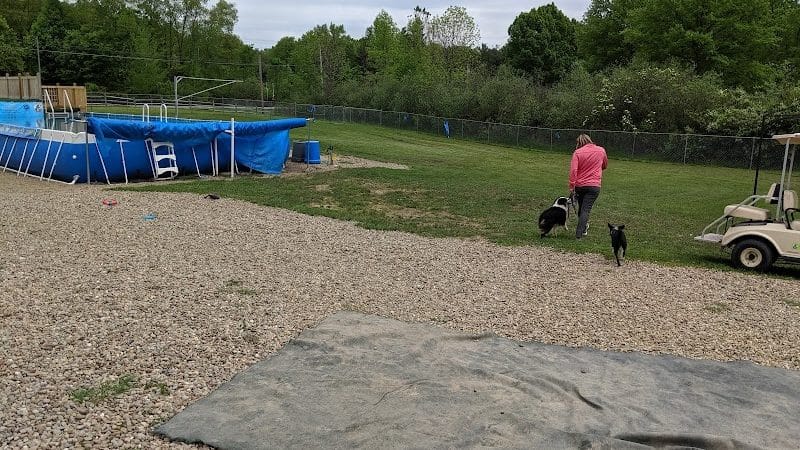 Duke's K9 Dash N' Splash - Windham, OH