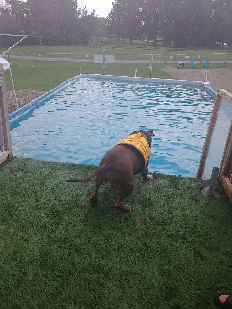 Duke's K9 Dash N' Splash - Windham, OH