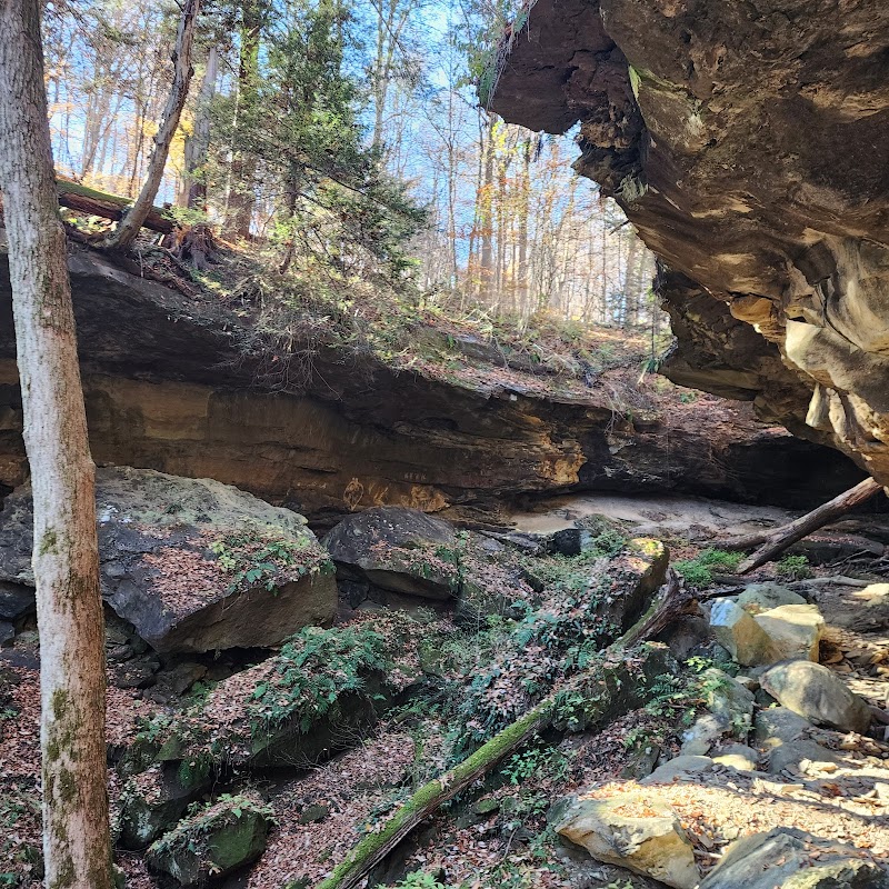 Piatt Park Gorge and Cave Area - Woodsfield, OH