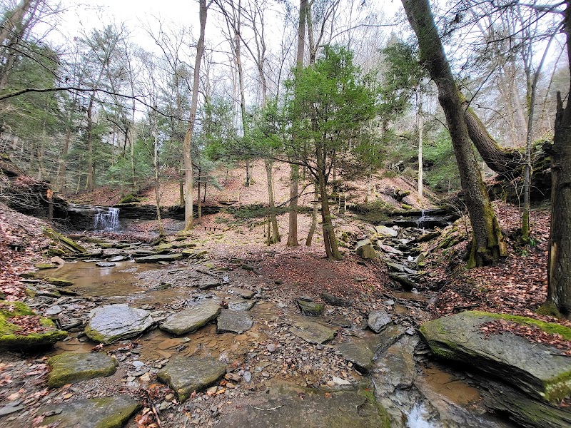 Piatt Park Gorge and Cave Area - Woodsfield, OH
