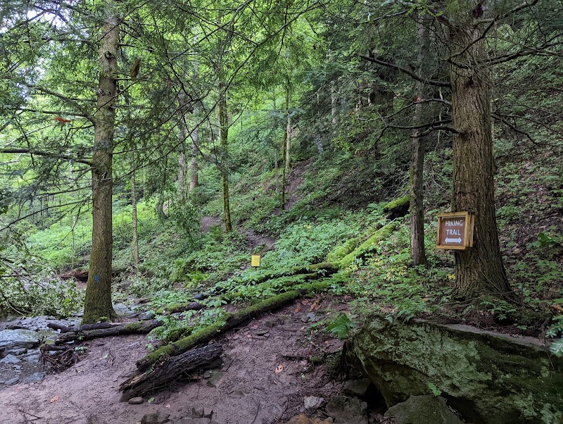 Piatt Park Gorge and Cave Area - Woodsfield, OH