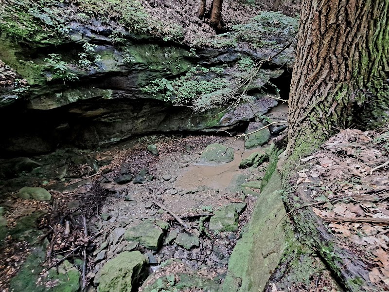 Piatt Park Gorge and Cave Area - Woodsfield, OH
