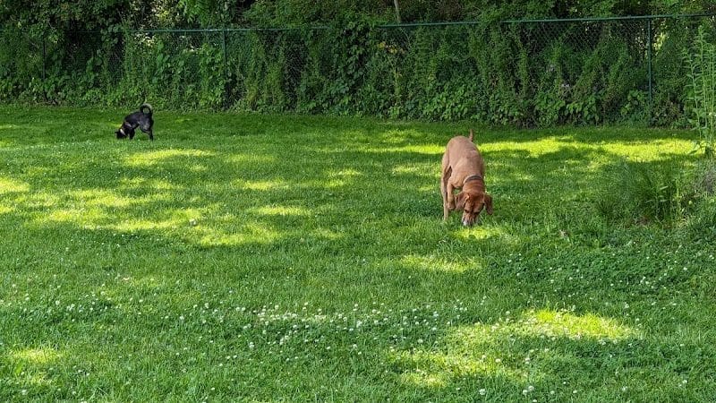 Wooster Dog Park - Wooster, OH