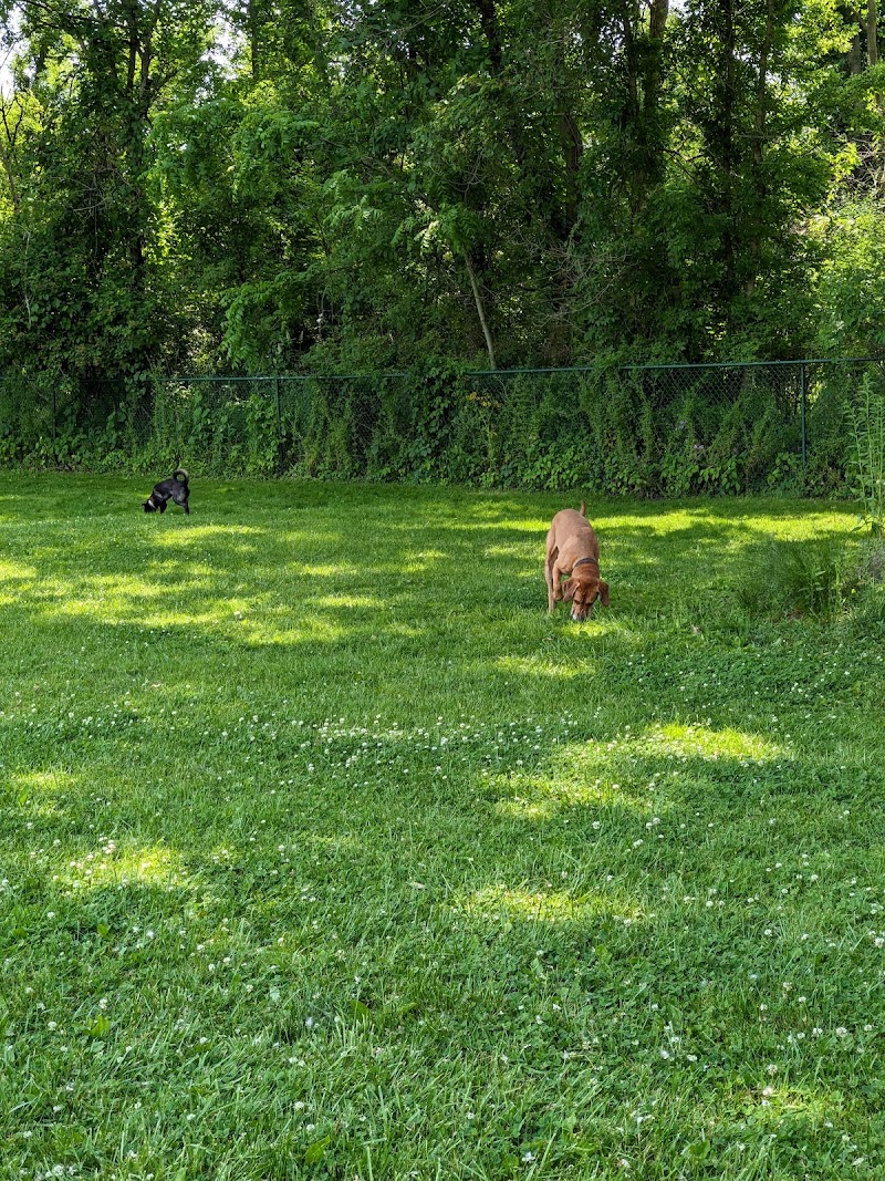 Wooster Dog Park - Wooster, OH