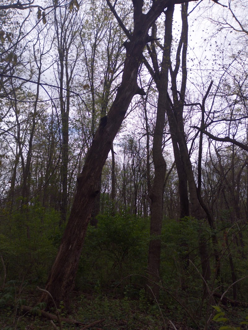 Pierce Park - Xenia, OH