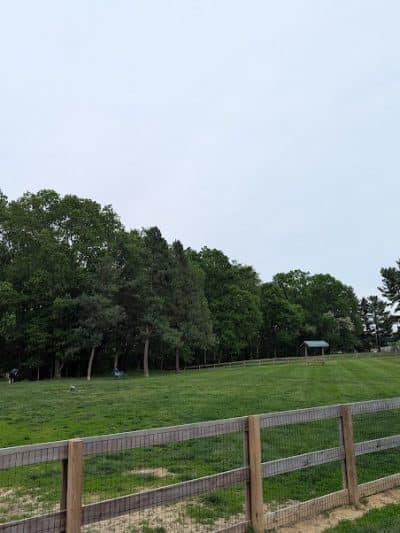 Scout Dog Park - Xenia, OH