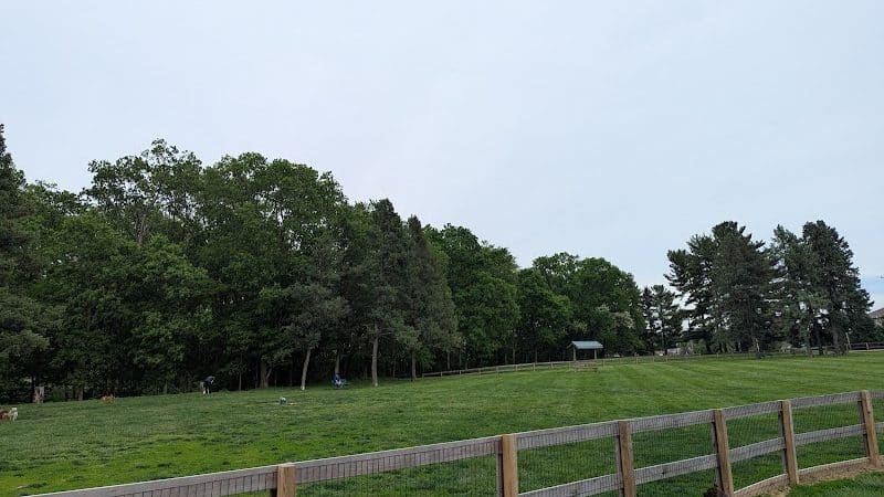 Scout Dog Park - Xenia, OH