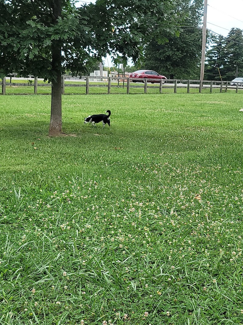 Scout Dog Park - Xenia, OH