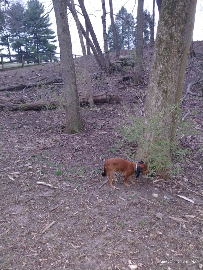 Scout Dog Park - Xenia, OH