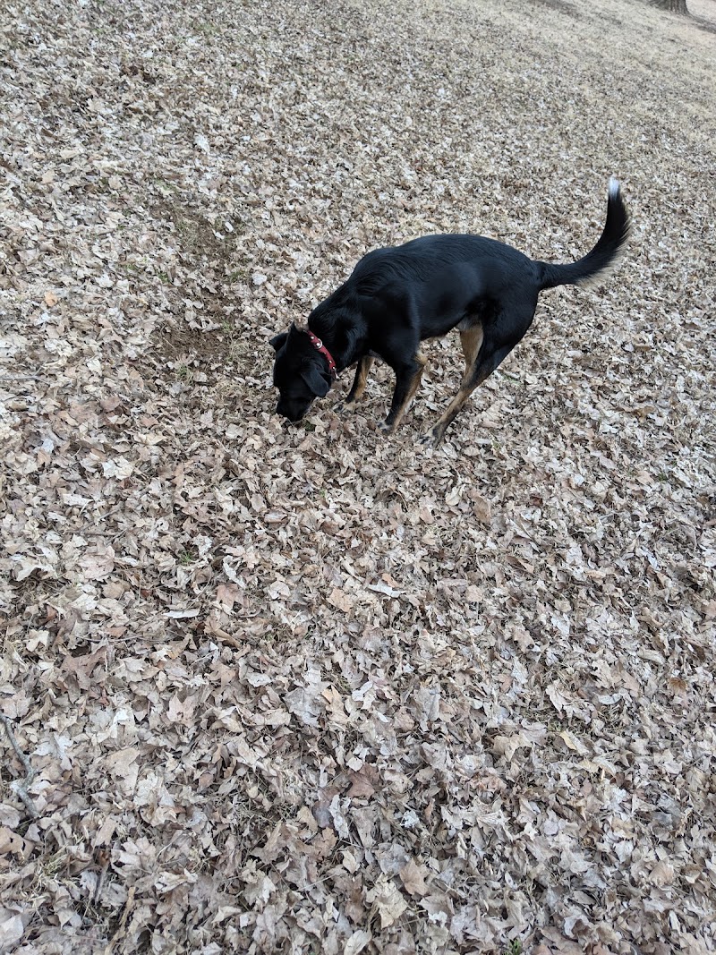 Scout Dog Park - Xenia, OH