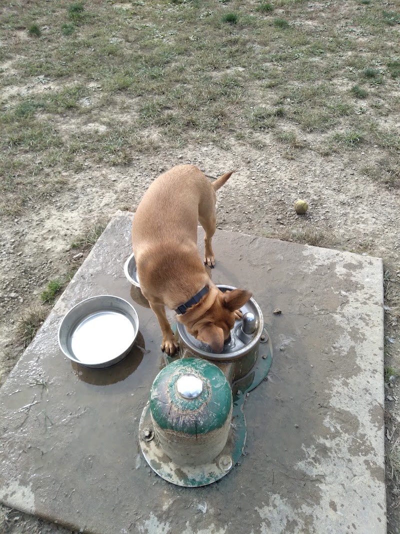 Scout Dog Park - Xenia, OH