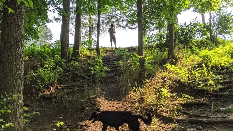 Scout Dog Park - Xenia, OH