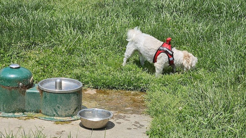 Scout Dog Park - Xenia, OH