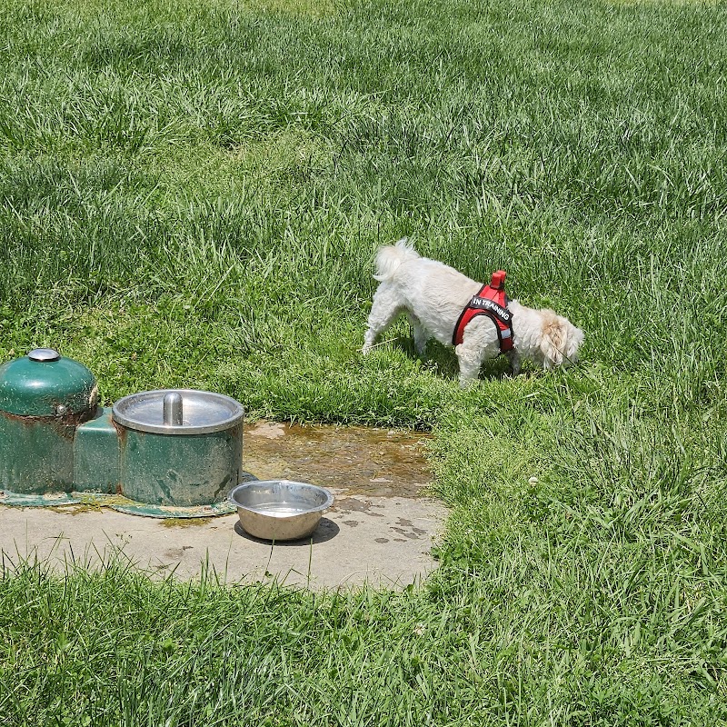 Scout Dog Park - Xenia, OH