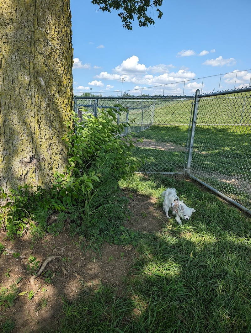 Yellow Springs Dog Park - Yellow Springs, OH