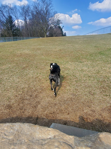 Yellow Springs Dog Park