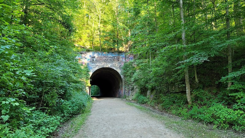 Zaleski State Forest - Zaleski, OH