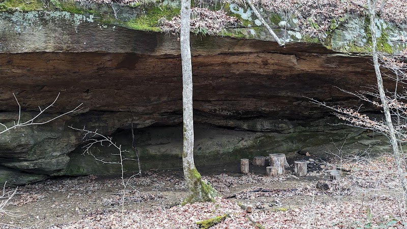 Zaleski State Forest - Zaleski, OH